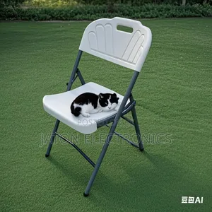 Portable Folding Chair