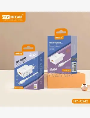 Hoyan Fast Charger Hy-C242