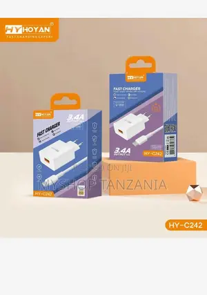 Hoyan Fast Charger Hy-C242