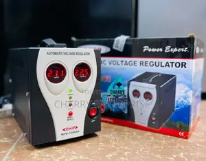 Paco Automatic Voltage Regulator/ Digital Stabilizer 1500w