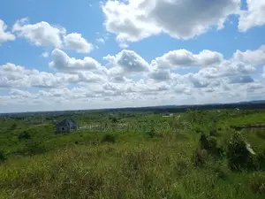 Viwanja Kiluvya