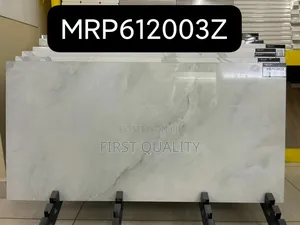 Floor Tiles 60x120cm