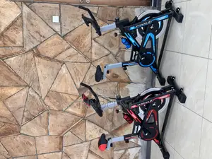 Spinning Bike