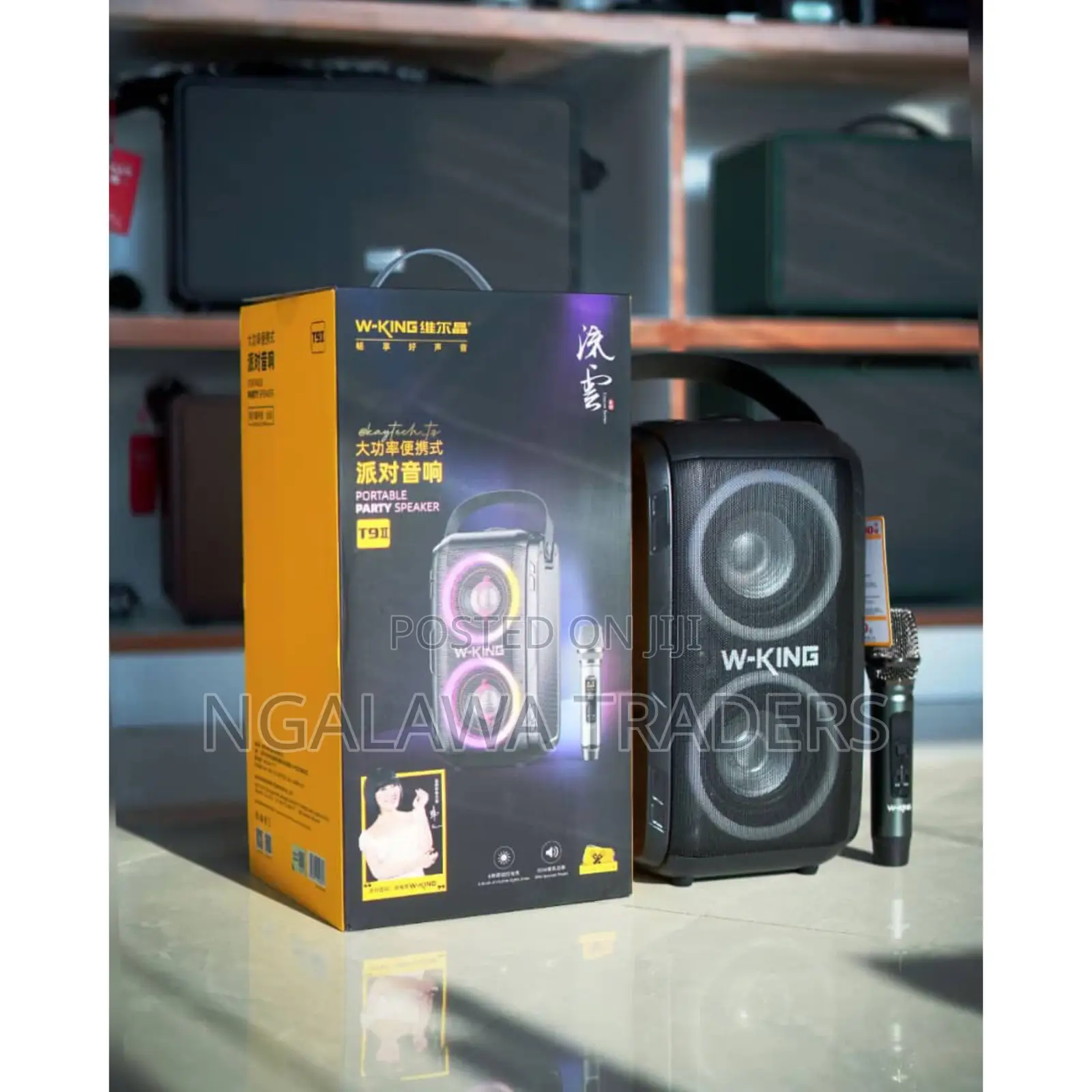 W-King T9-2 Party Speaker