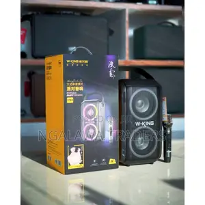 W-King T9-2 Party Speaker