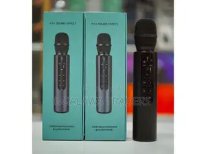 Portable Karaoke Microphone