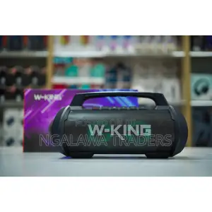 W-King D10 - 70w Portable Speaker