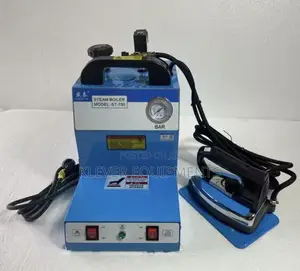 Electric Steam Boiler With Steam Iron