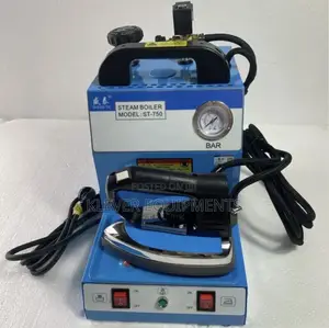 Electric Steam Boiler With Steam Iron