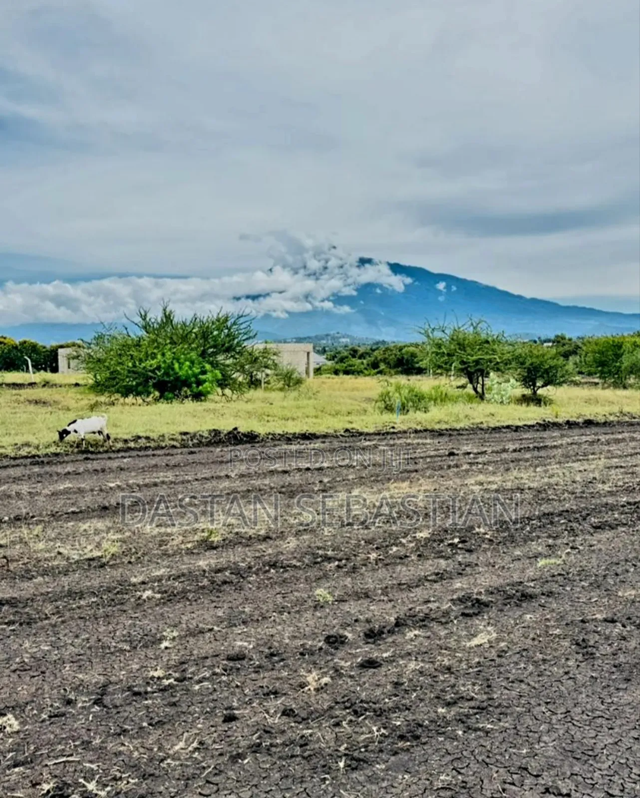 Njiro Bei Imeshuka