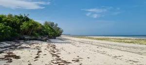 Beach Plot for Sale at Zanzibar