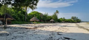 Beach Plot for Sale at Zanzibar