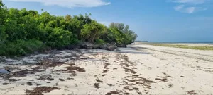 Beach Plot for Sale at Zanzibar