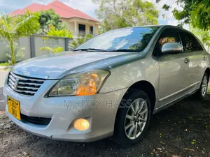 Toyota Premio 2007 Silver