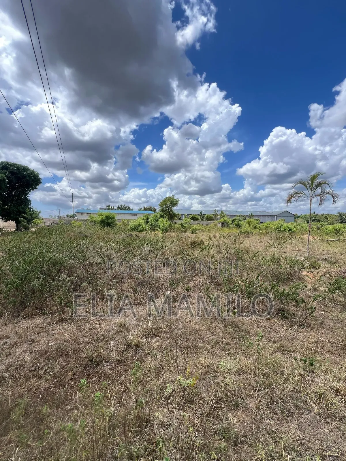 7 Acres Industrial Plot for Sale in Bagamoyo, Mapinga Baobab