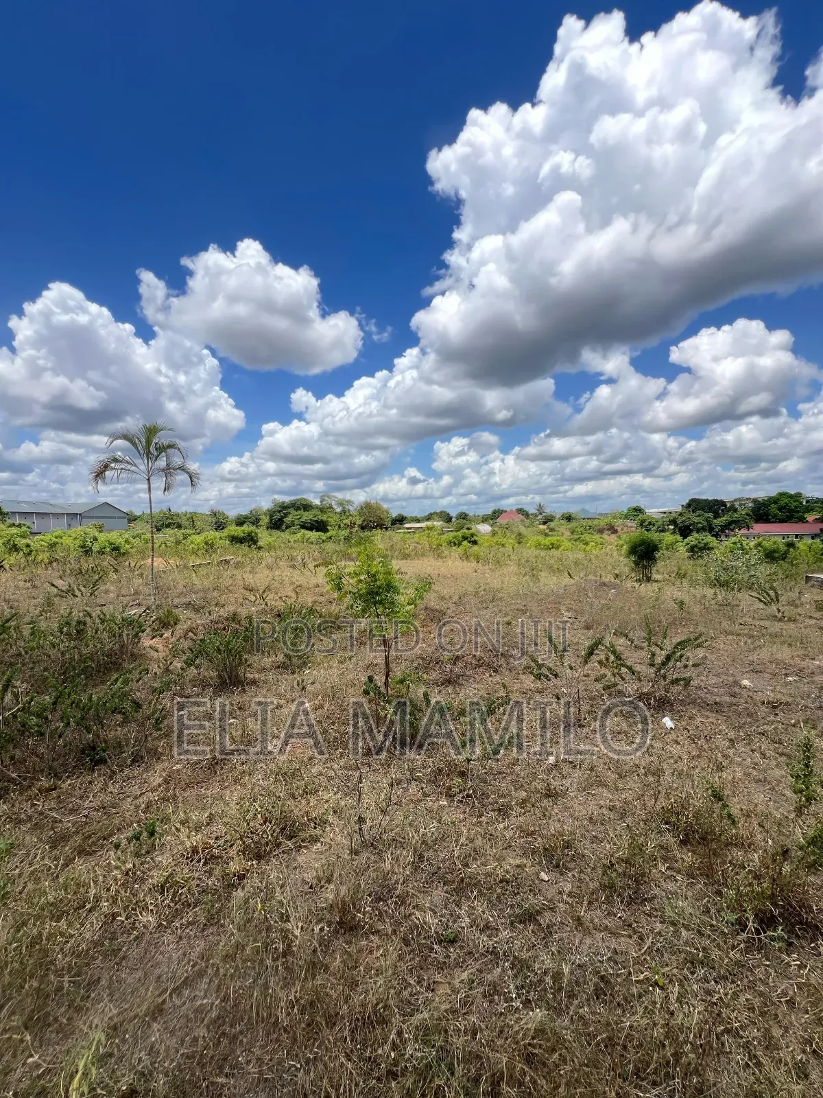 7 Acres Industrial Plot for Sale in Bagamoyo, Mapinga Baobab