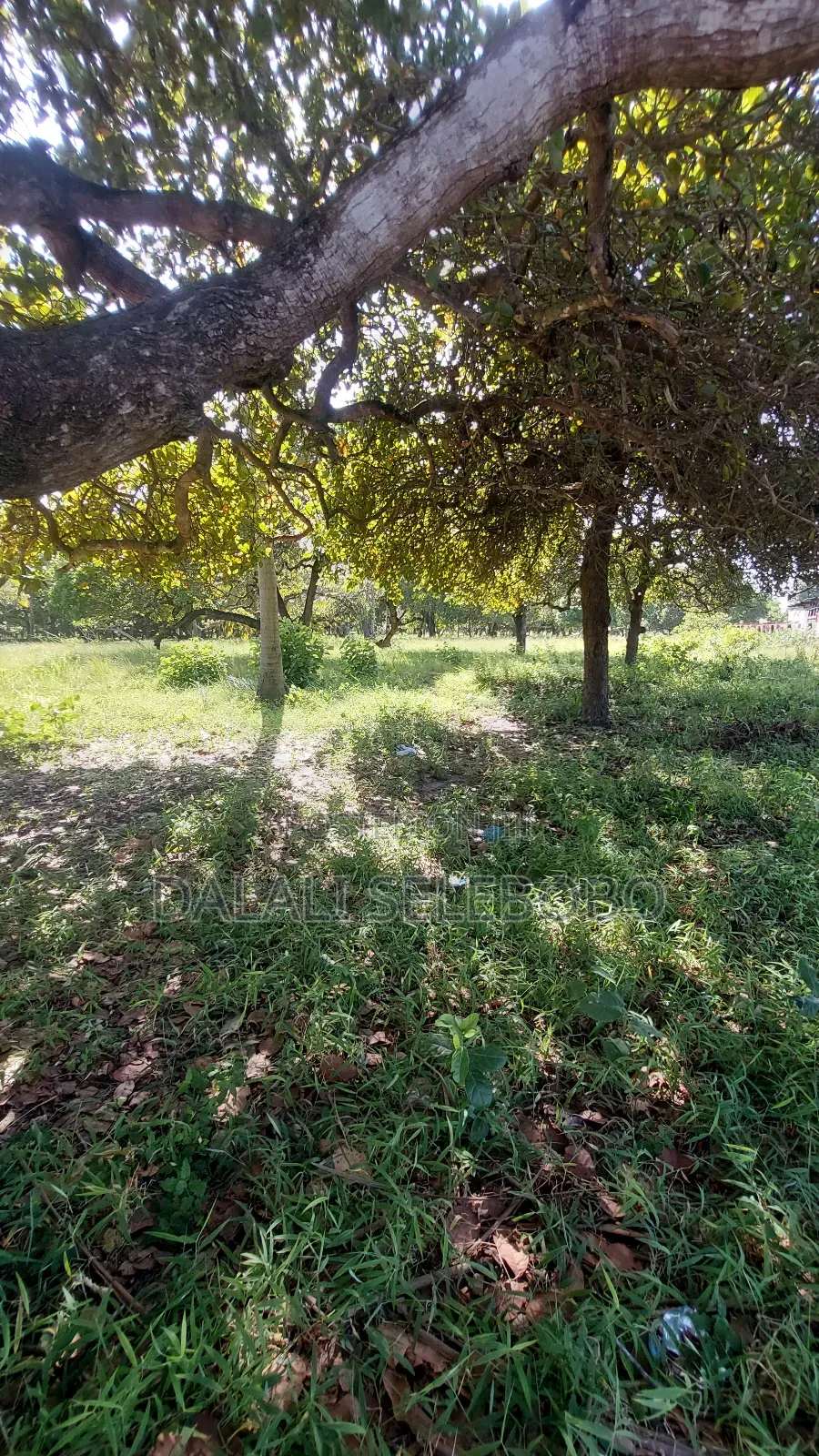 7hectore Industrial At Bagamoyo Mapinga
