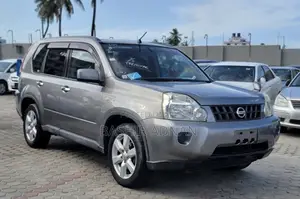 Nissan X-Trail 2.0 2008 Gray