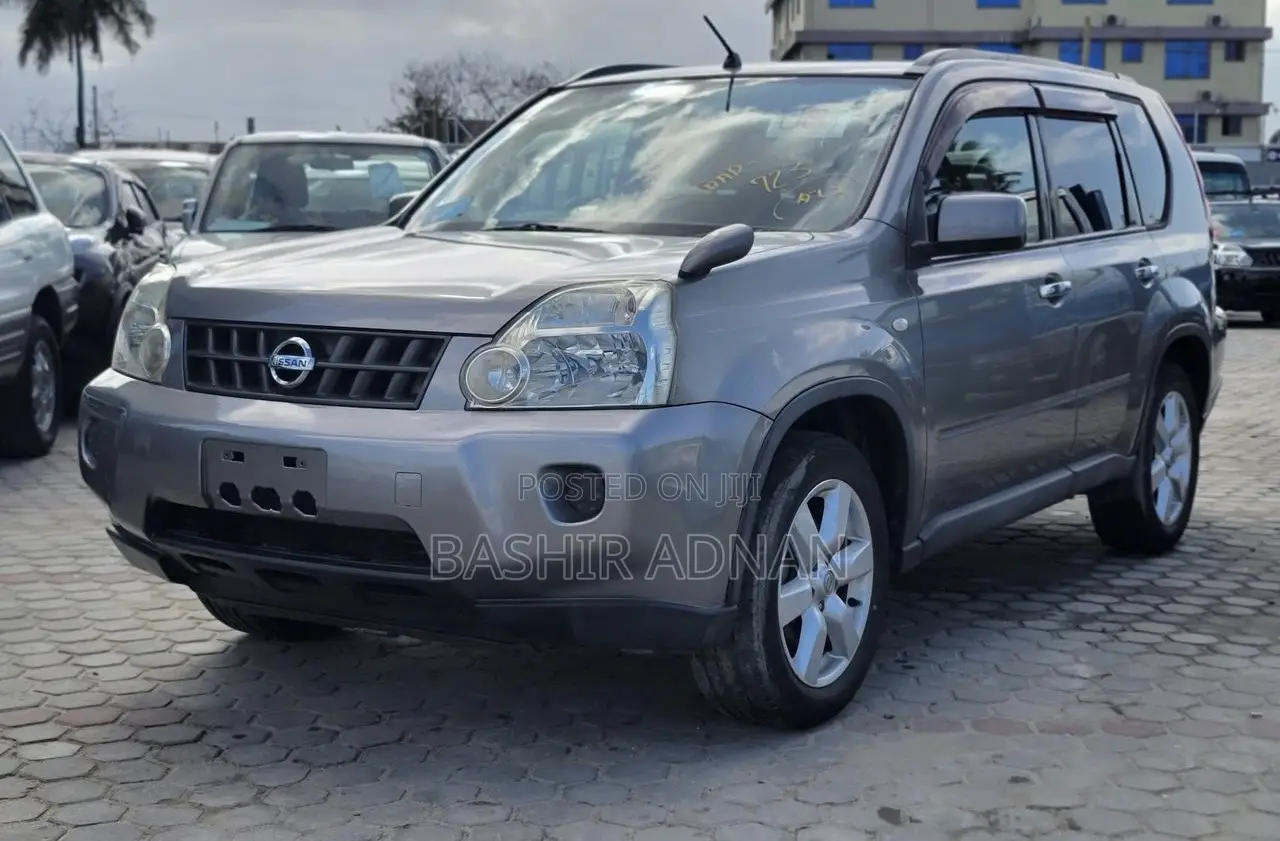Nissan X-Trail 2.0 2008 Gray