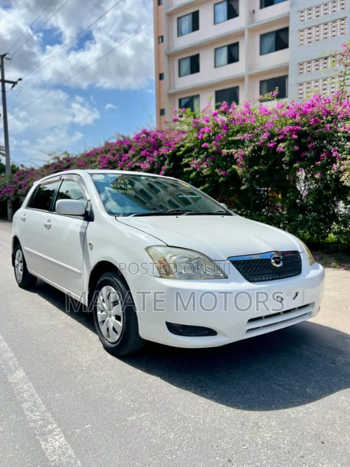 Toyota Allex 2004 Pearl