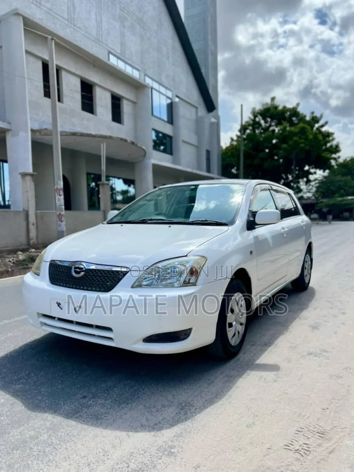 Toyota Allex 2004 Pearl