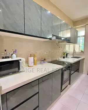 Furnished 3bdrm Apartment in Kariakoo for rent