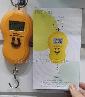 Electronic Digital Hanging Hook Luggage Scale With Display