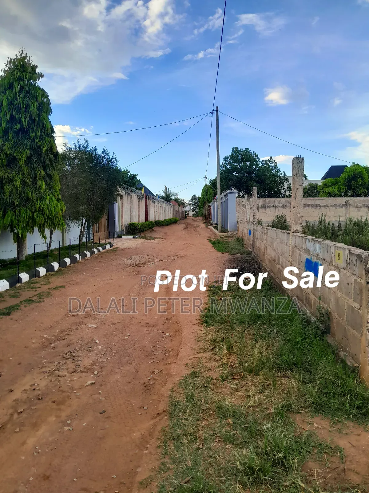 Plot for Sale in Mwanza