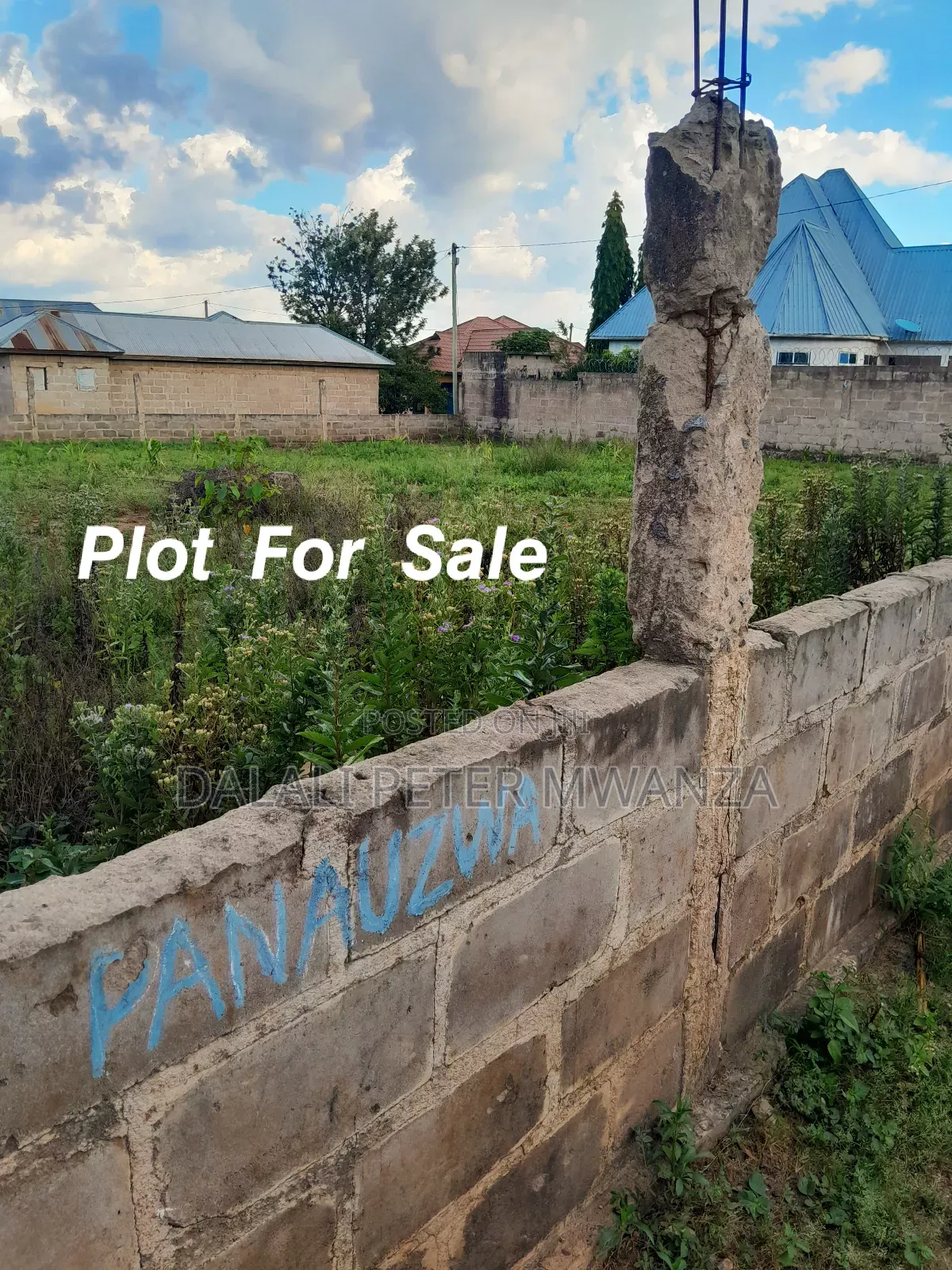 Plot for Sale in Mwanza