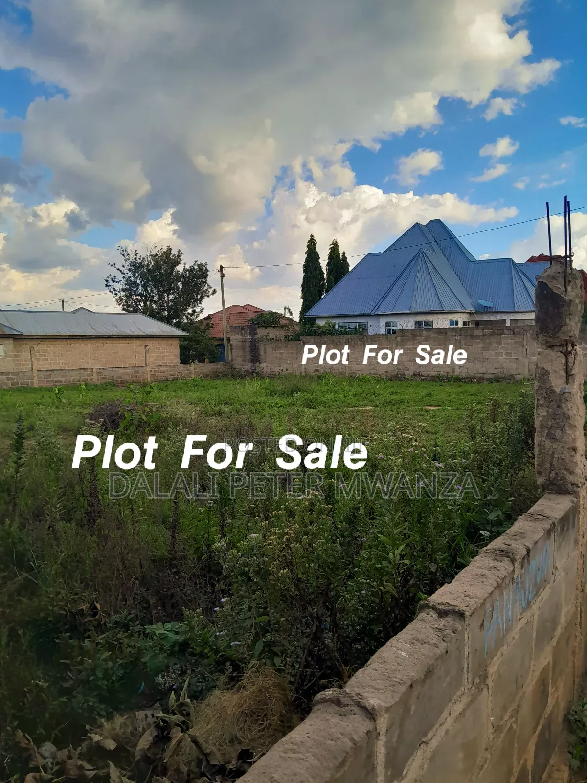 Plot for Sale in Mwanza