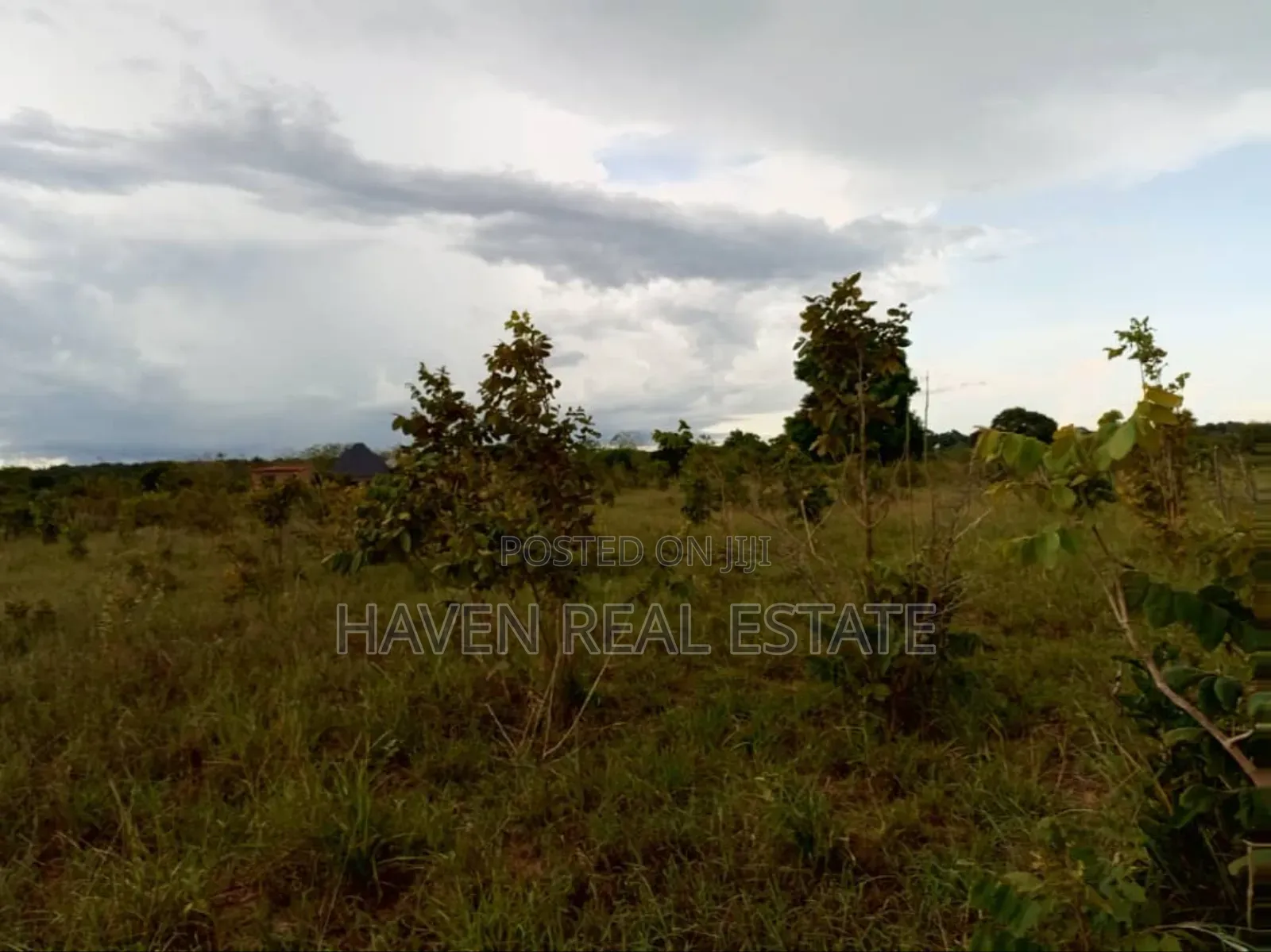 50 Acres Industrial Plot for Sale at Kibaha
