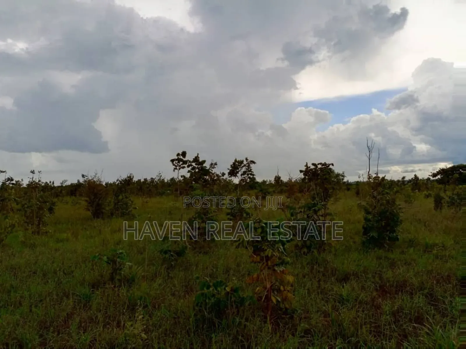 50 Acres Industrial Plot for Sale at Kibaha