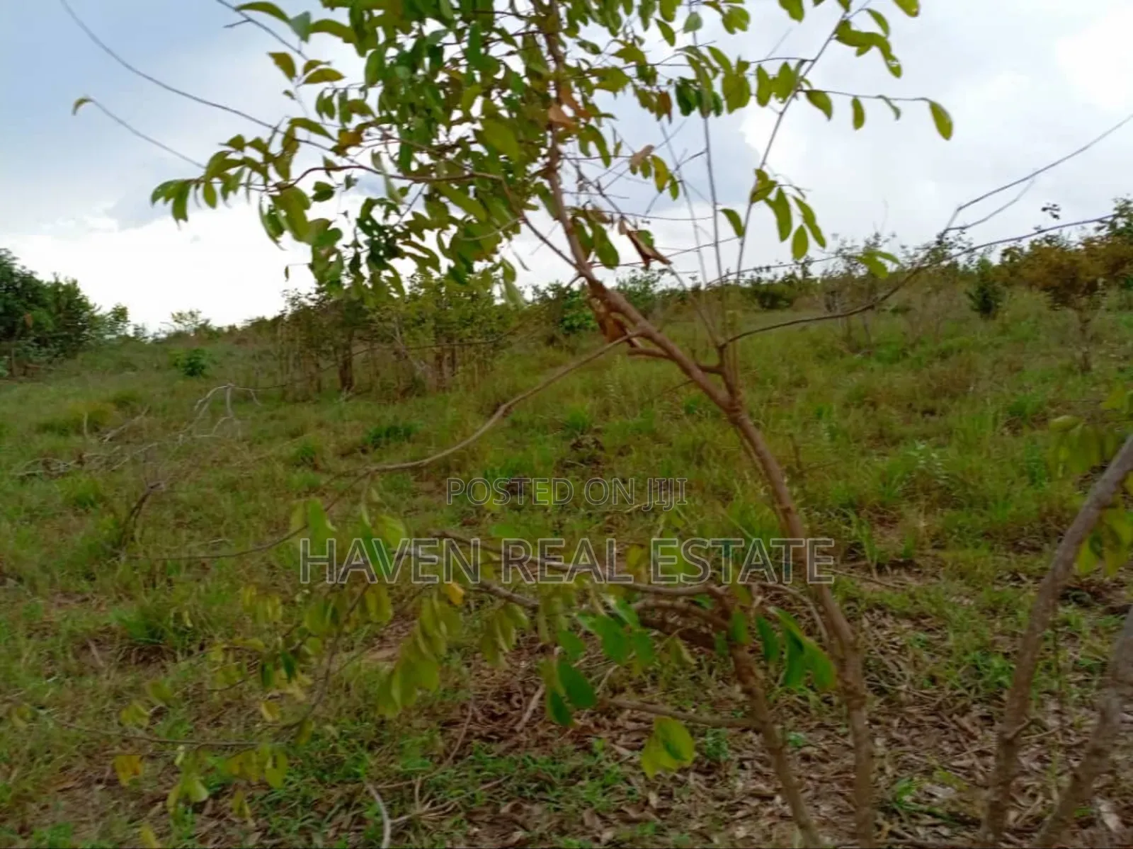 50 Acres Industrial Plot for Sale at Kibaha