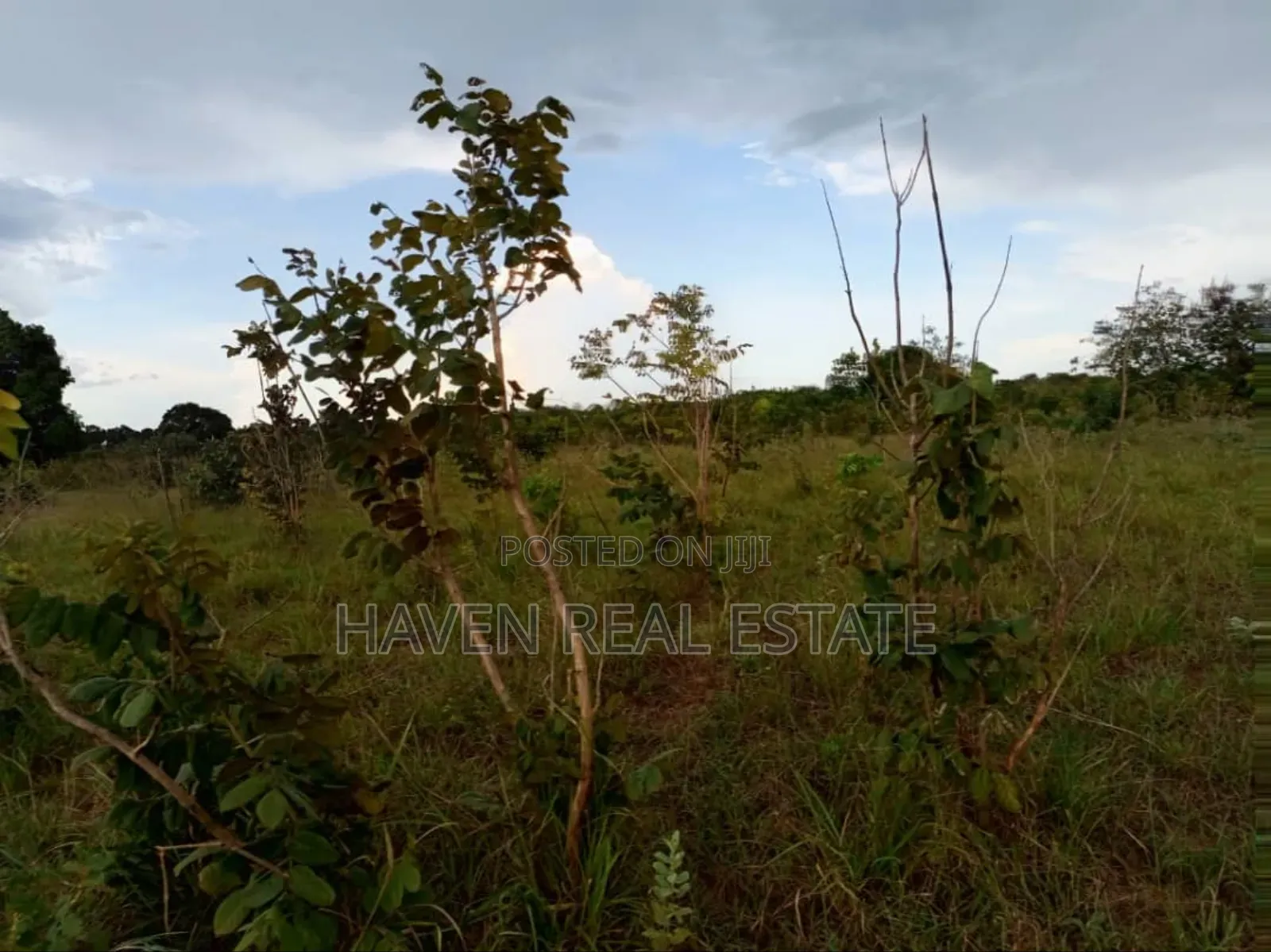 50 Acres Industrial Plot for Sale at Kibaha