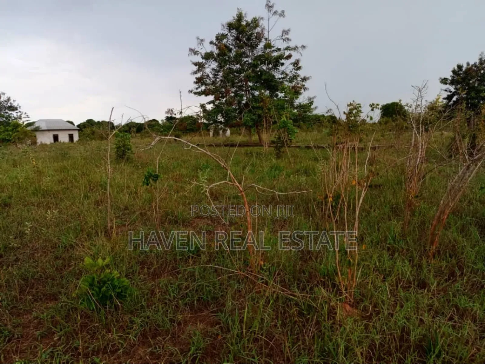 50 Acres Industrial Plot for Sale at Kibaha