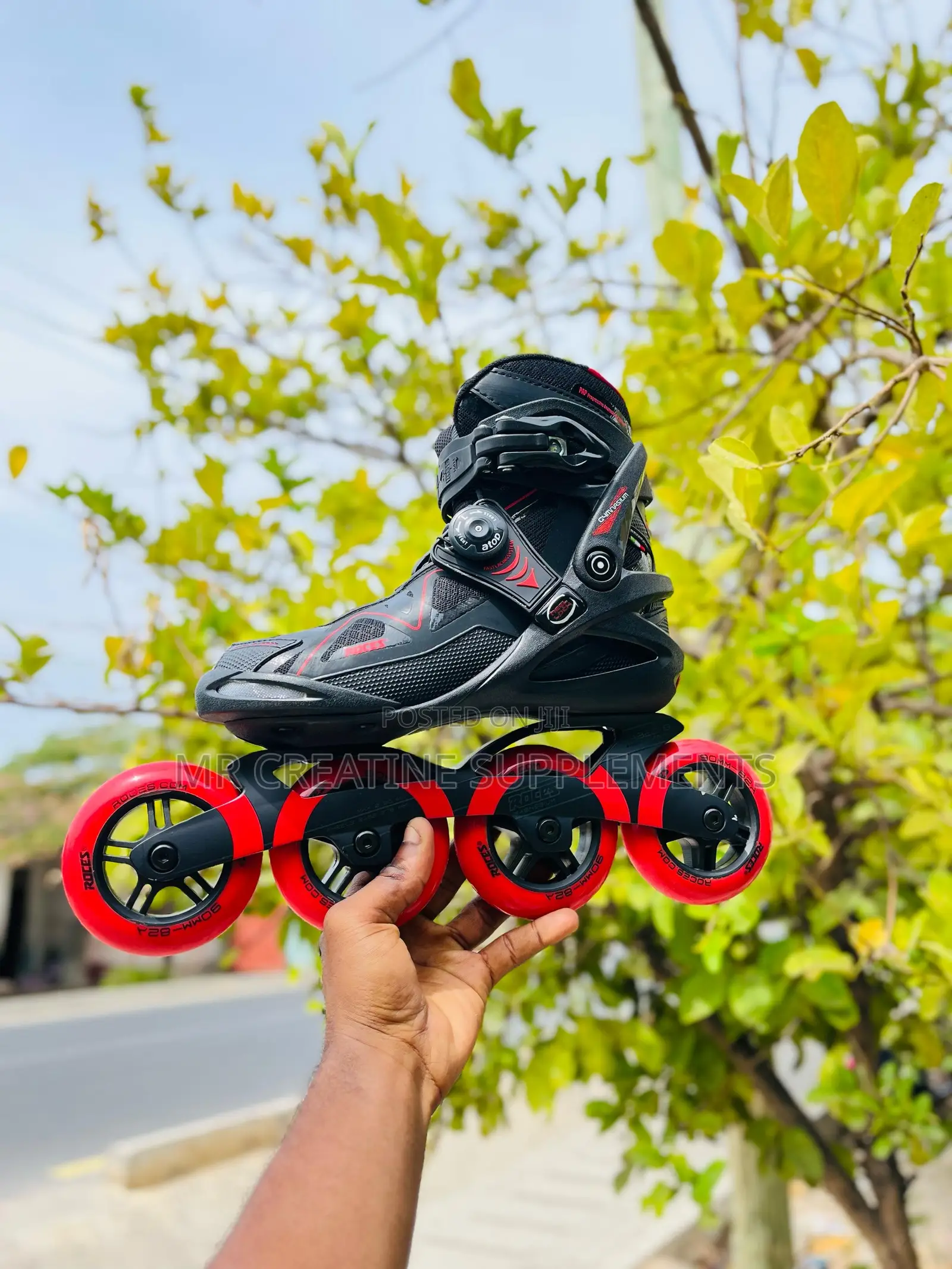 Roller Horse Skating From Italy Skating