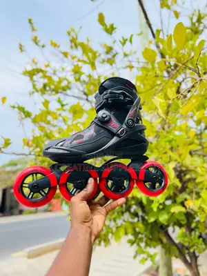 Roller Horse Skating From Italy Skating