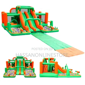 Doctor Dolphin Water Slide Park Bounce Inflatable Castle