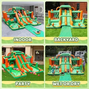 Doctor Dolphin Water Slide Park Bounce Inflatable Castle