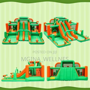 Doctor Dolphin Inflatable Bounce House Water Slide.