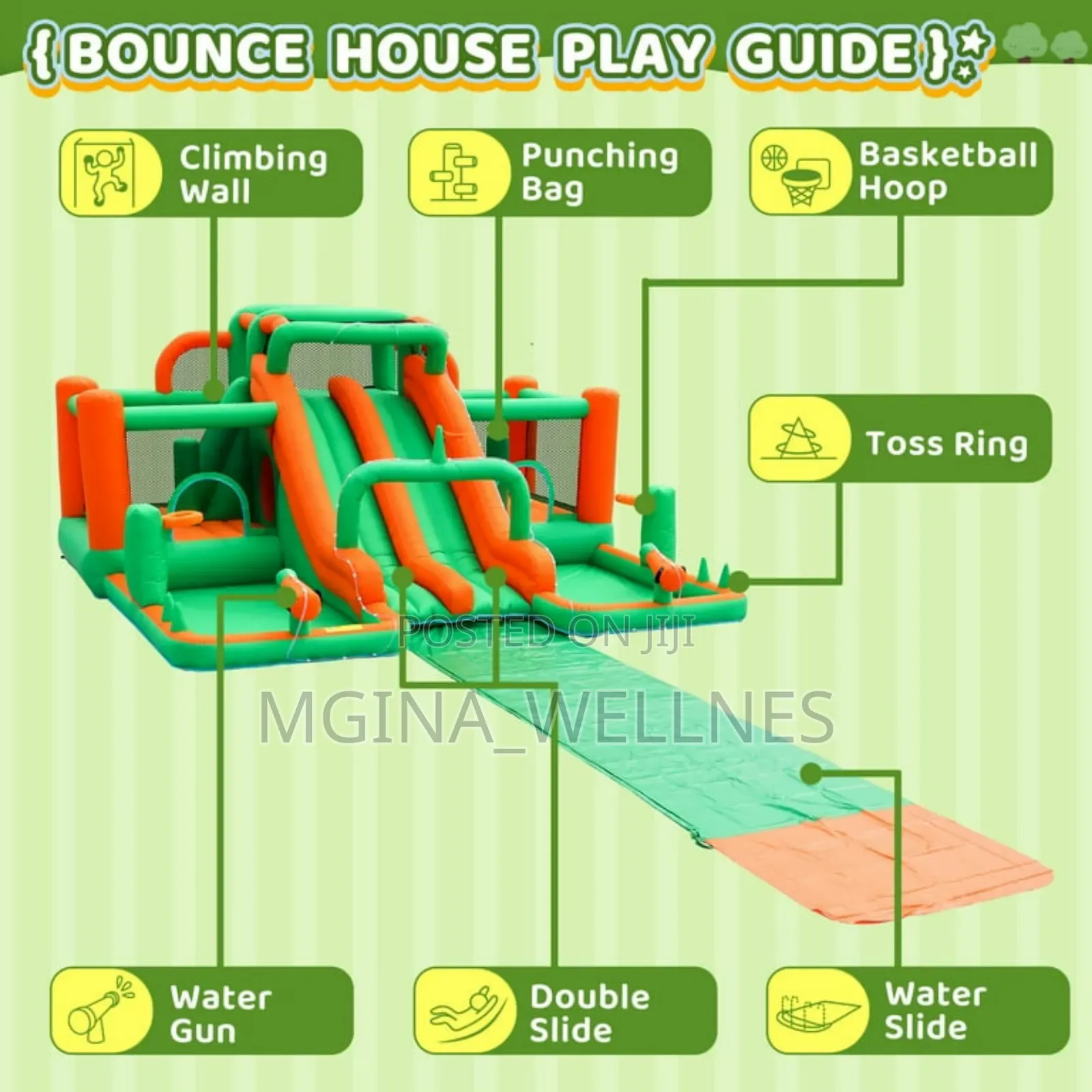 Doctor Dolphin Inflatable Bounce House Water Slide.