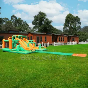 Doctor Dolphin Inflatable Bounce House Water Slide.