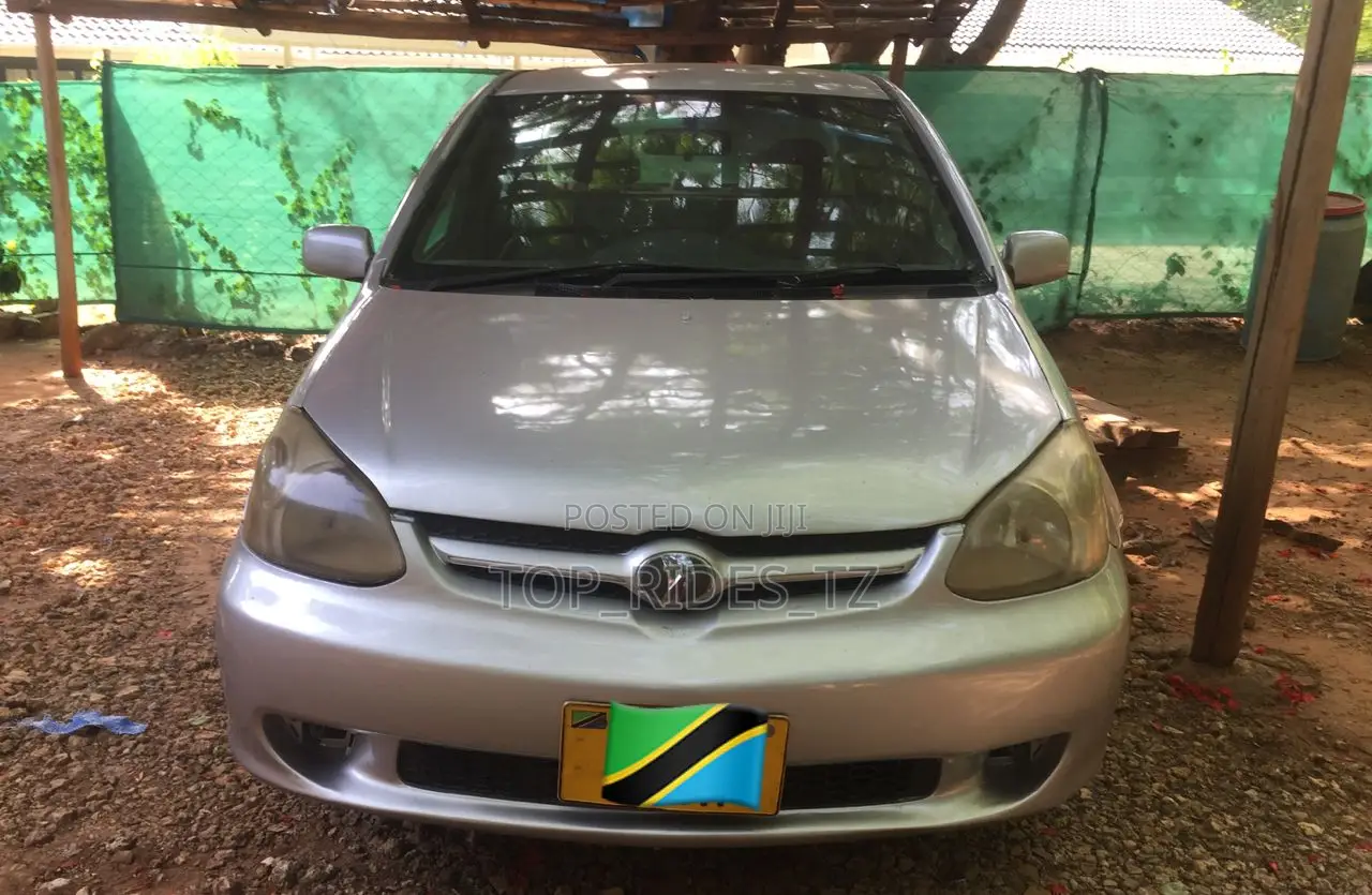 Toyota Platz 1.3 AWD 2003 Silver