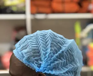 Hair Protection Nets/Head Nets