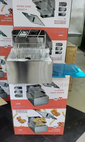 Global Star Electric Deep Fryer 6l