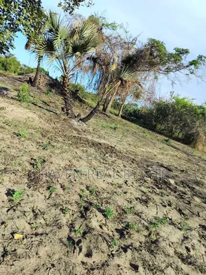 50 Acres Zinauzwa Kiromo Bagamoyo