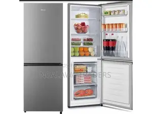 Hisense Refrigerator 263l Double Door, Bottom Freezer