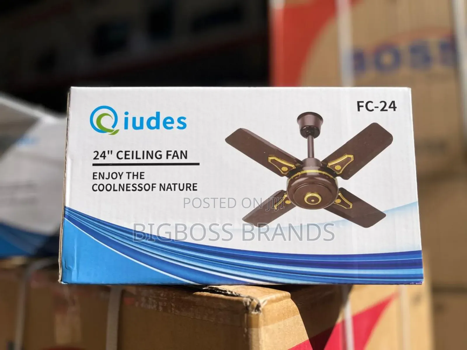 Qiudes Ceiling Fan Size 24