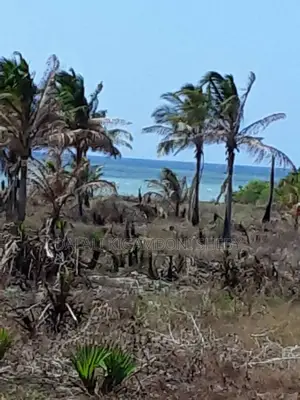 Beach Plot for Sale Location Rufiji
