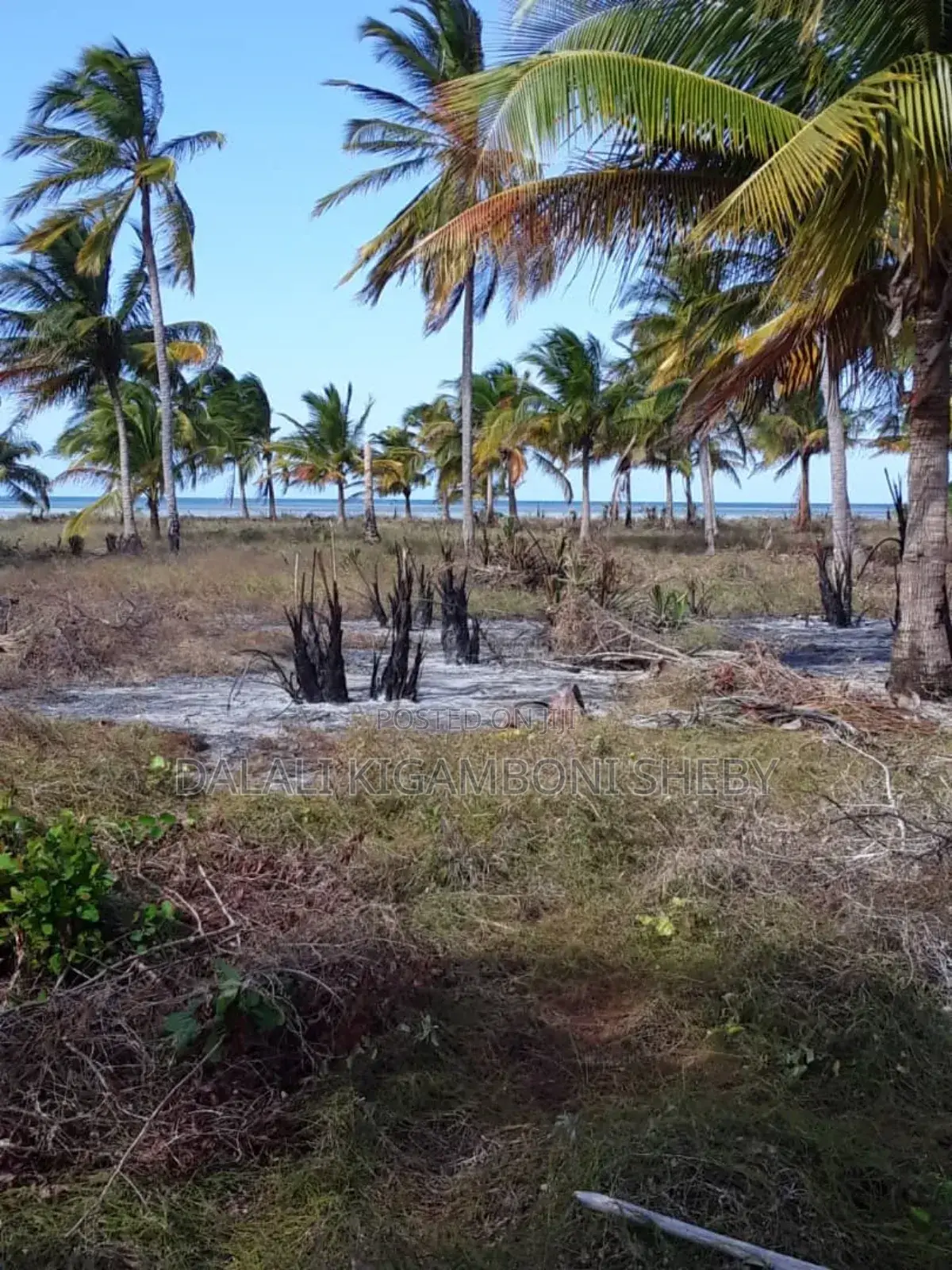 Beach Plot for Sale Location Rufiji